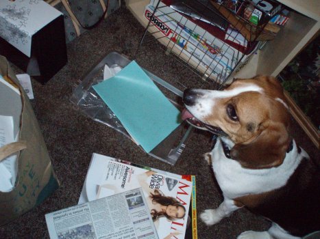BeagleStuff-M.jpg